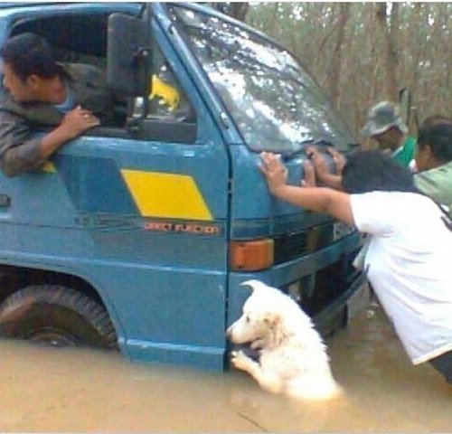 Прикольные картинки на автотематику (20 шт)