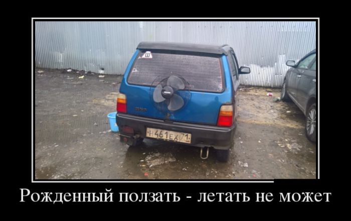 Забавные демотиваторы для хорошего настроения (11 фото)