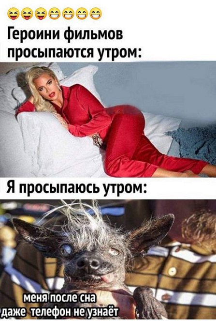 Немного позитива вам в ленту