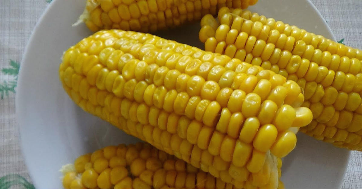 Как сварить кукурузу быстро и без воды