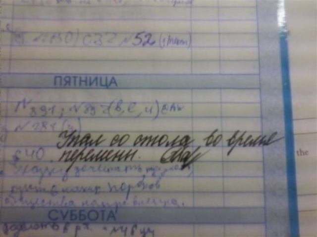 Безумно смешные записи учителей в школьных дневниках!