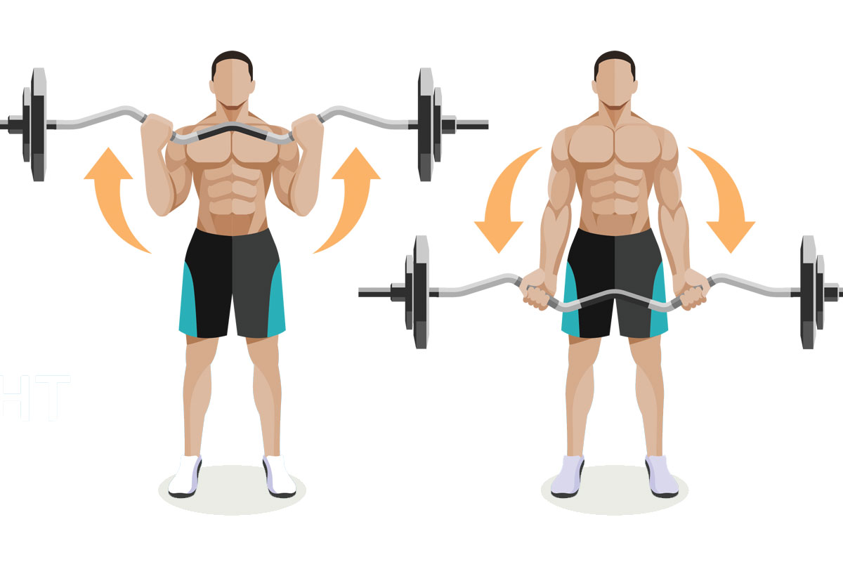 Подъем EZ-штанги на бицепс