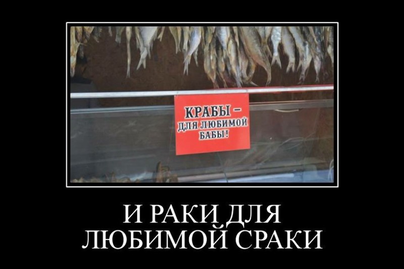 Картинки, которые гарантированно поднимут вам субботнее настроение  прикол, смешно, юмор