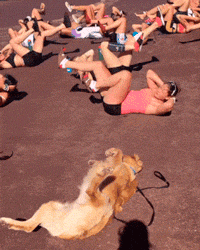 С этими хохотушками вы на 100% отдохнёте от всех забот! Смотрим! С этими хохотушками вы на 100% отдохнёте от всех забот! Смотрим! позитив