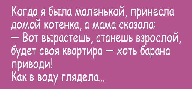 Поклонники Казимира Малевича довольно часто смотрят телевизор не включая анекдоты,веселые картинки,приколы,юмор