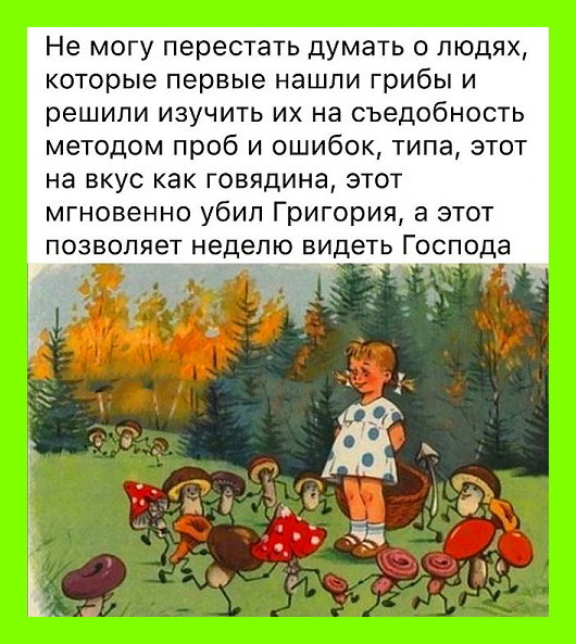 Немного позитива вам в ленту