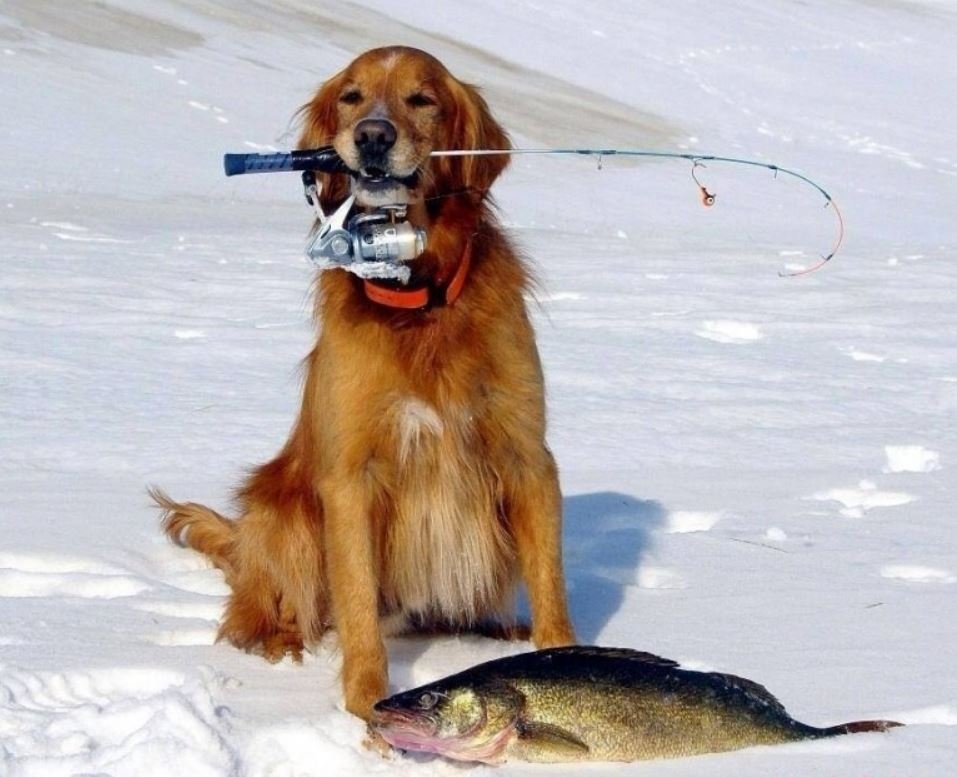 Зимняя рыбалка это всегда приключения Зимняя рыбалка это всегда приключения истории из жизни