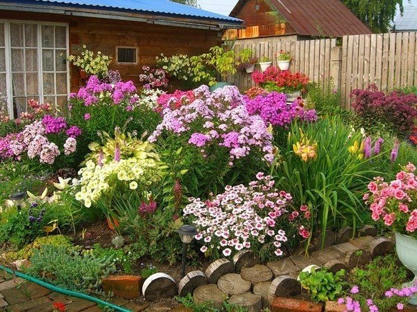 дача цветники ландшафтный дизайн 20 фото dizajnbox.ru