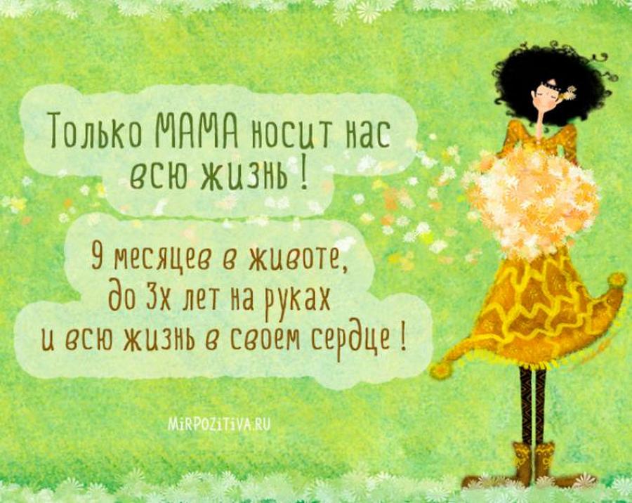 Не ори на мать, она ведь не виновата, что у тебя все не так картинки