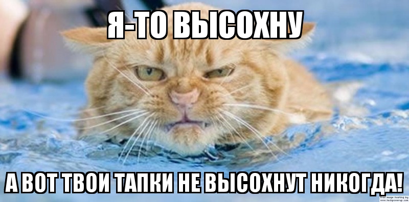 "Думаю, что после праздников они уже гулять не будут", - Луценко о Лозовом и Дейдее - Цензор.НЕТ 3107