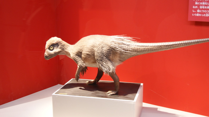 Немного фотографий из Японии Немного фотографий из Японии заграница,страны,туризм