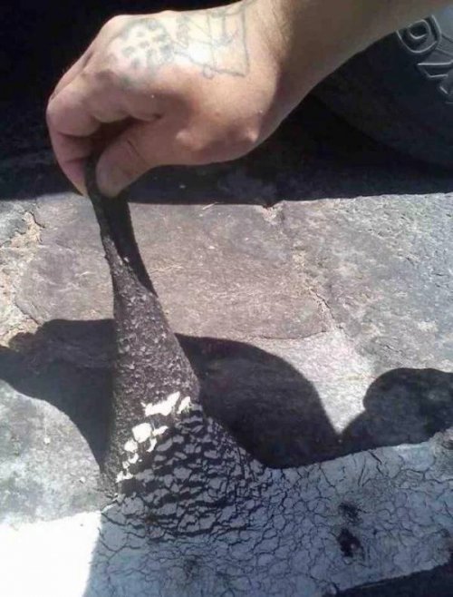 22 жаркие летние фотографии, чтобы согреться 