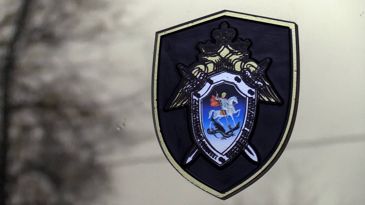 СКР расследует дело об избитой клюшкой школьнице на Сахалине