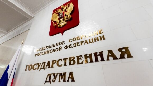 Проект об отмене наказаний за митинги некорректно внесли в Госдуму