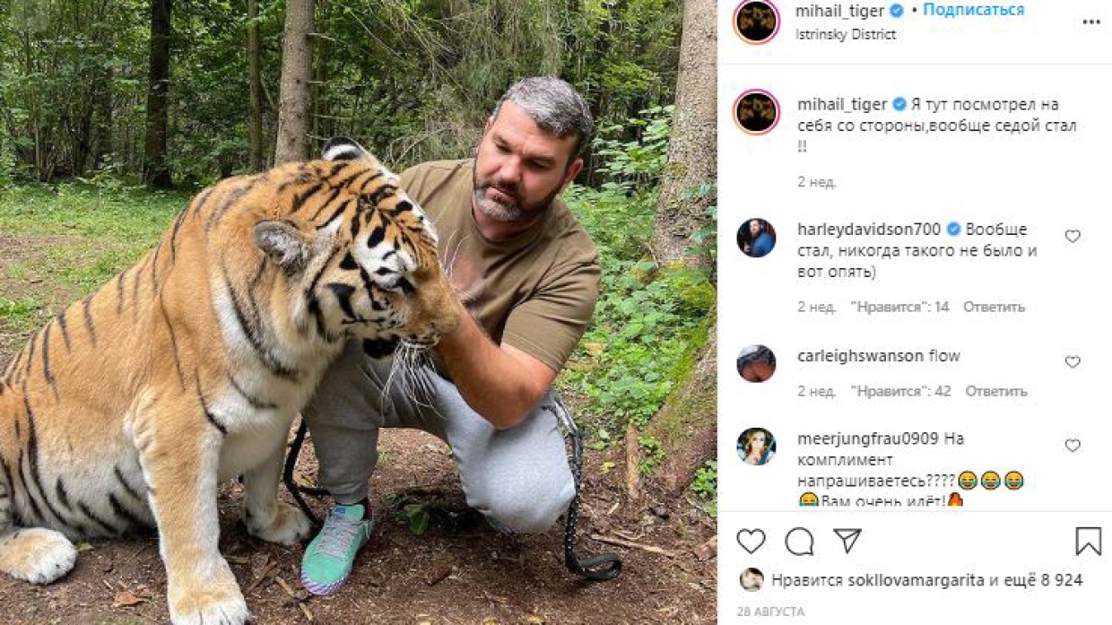 Тигр в доме: Эдгард Запашный разбирает кейс Джигана и Тимати, обнимавшихся с хищниками