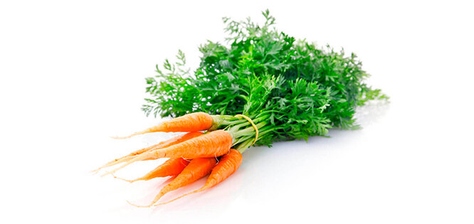 Морковь, имбирь и ещё пять продуктов, которые можно вырастить из обрезков часть, листья, несколько, растение, Поставьте, пересадите, горшок, новый, из обрезков, место, вырастить, можно, высыхания, в центре, спустя, имбиря, около, в течение, прорастить, имбирь