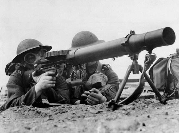 Война против страусов: самое обидное поражение в истории Австралия,история,страусы