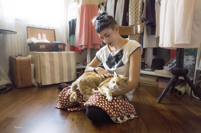 Счастливые кошки Счастливые кошки