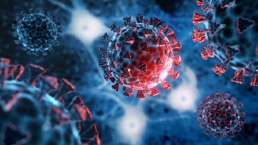 ИИ-модель научилась предсказывает, какие штаммы COVID-19 станут опасными
