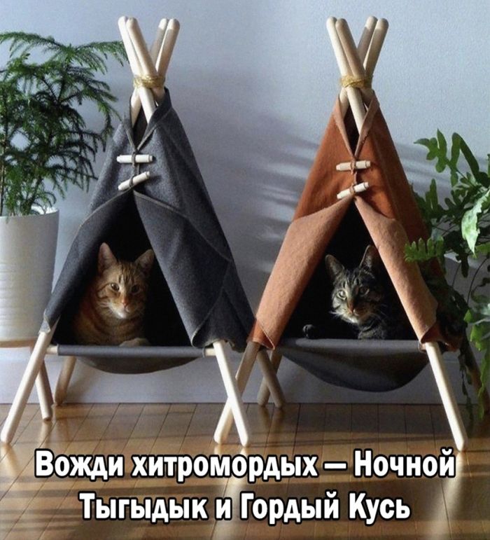 Лучшее средство от морщин — 6 литров пива на ночь Лучшее средство от морщин — 6 литров пива на ночь