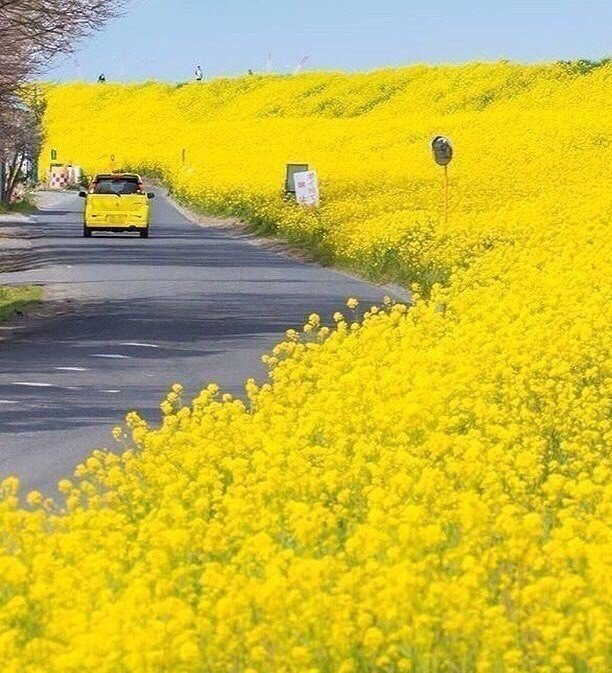 Позитивные и милые фотографии с веселыми картинками Позитивные и милые фотографии с веселыми картинками красивые фотографии,прикольные картинки,шикарные фотографии