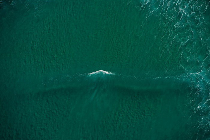 Красота моря в фотографиях Chris Burkard