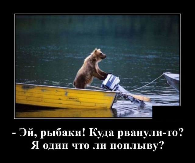 Демотиваторы на 12 февраля Демотиваторы на 12 февраля