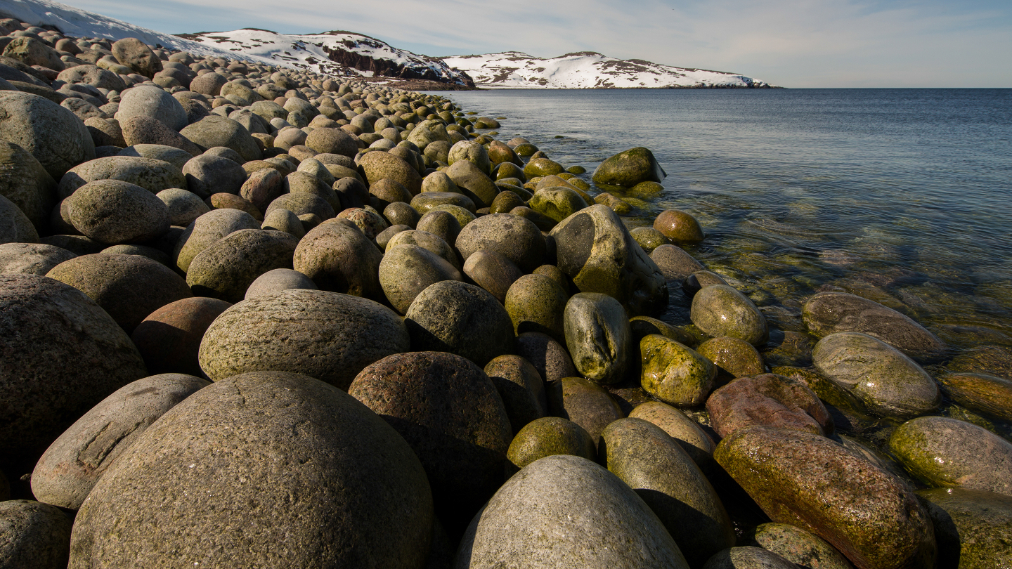 Териберка: что стоит сделать в этом селе Мурманской области можно, здесь, Териберке, Териберка, местных, увидеть, всего, полюбоваться, динозавров», Териберки, время, места, летом, северным, Териберку, которые, поймать, здание, самостоятельно, займет