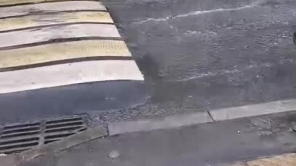 В Москве автомобилисты и пешеходы пожаловались на высокую зебру