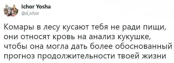 Свежий сборник убойных приколов — сетевой юмор для отличного настроения