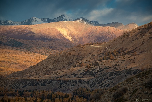 Фотограф Светлана Казина