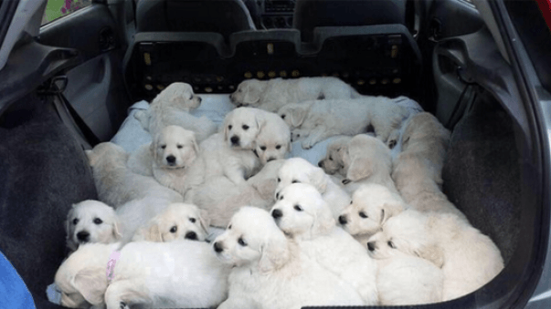 когда ты как твоя жена