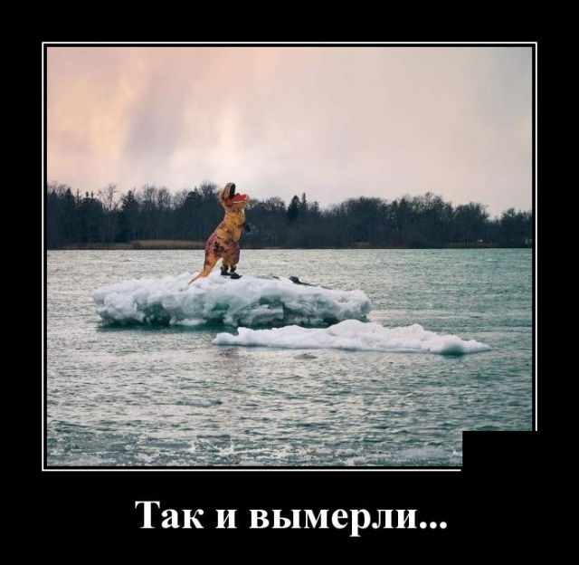 Самые новые демотиваторы (30 фото) демотиваторы