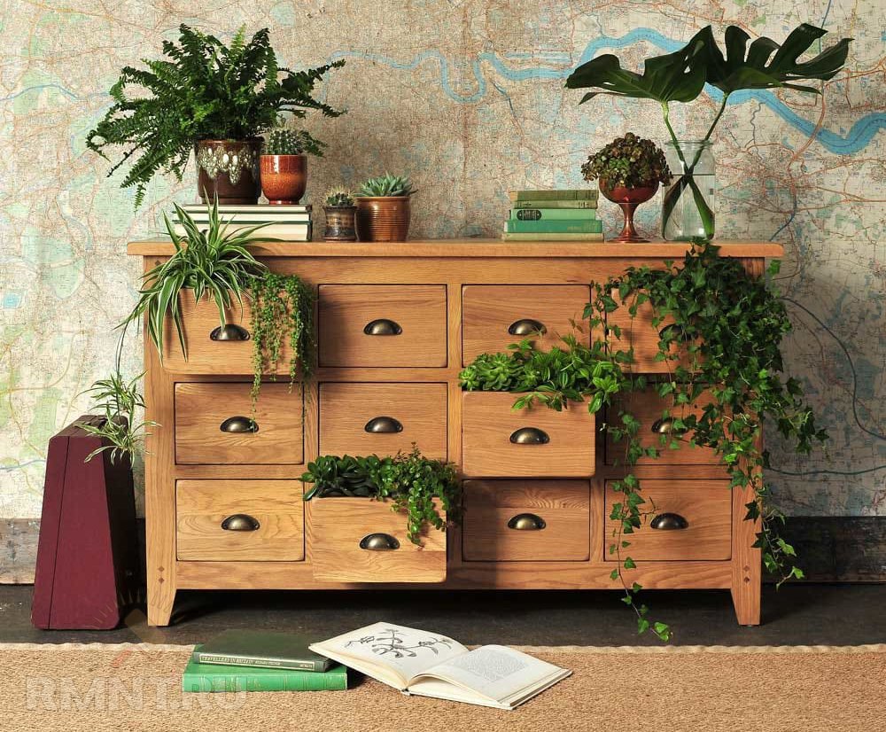 Нетривиальные способы разместить комнатные растения можно, например, обычно, комнатные, комнате, будет, растения, растений, которая, станция», «цветочная, просто, очень, растениям, расположить, солнечных, в нише, Многие, заметного, тенелюбивы