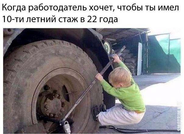 Позитив и хорошее настроение в забавных картинках и фотках! Позитив и хорошее настроение в забавных картинках и фотках!