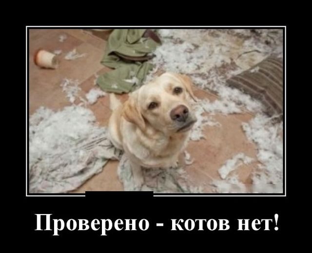 Демотиваторы - приколы!