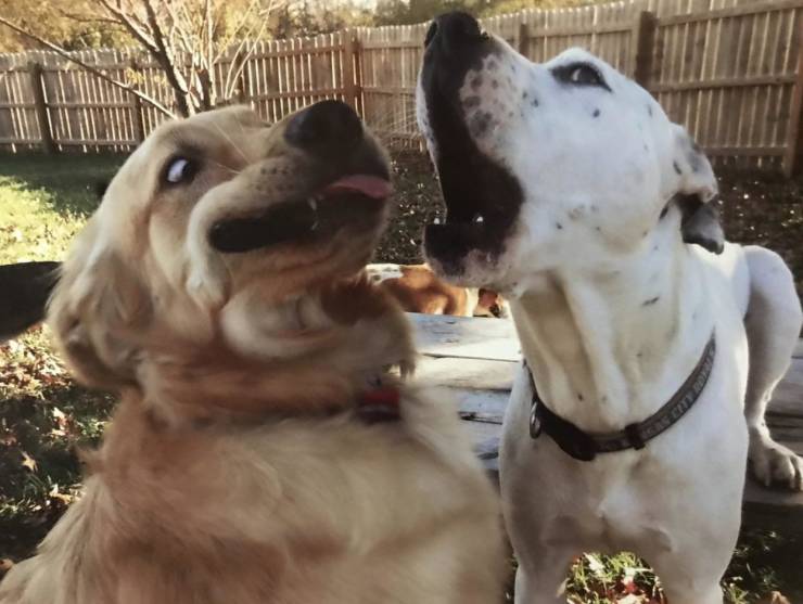 Подборка прикольных картинок Подборка прикольных картинок приколы,смешные картинки,юмор