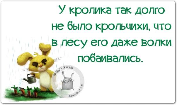 А я никогда в школе не дергал девочек за косички, потому что один раз в деревне я дернул за хвост коня анекдоты,веселые картинки,приколы,Хохмы-байки,юмор