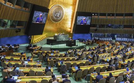 Арабский мир пригвоздит США к позорному столбу в ООН геополитика,г,Москва [1405113]