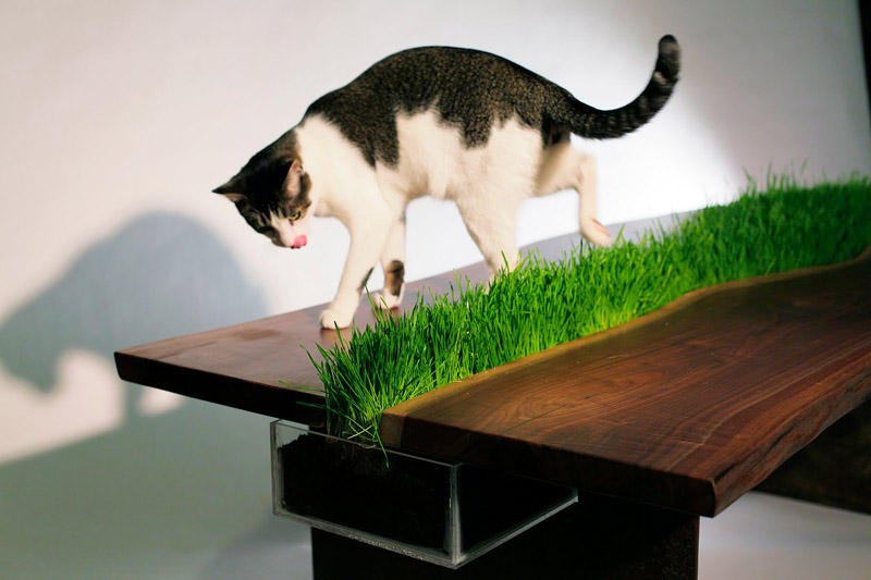 Мебельные решения для любителей животных PetFriendlyFurniture06 Мебельные решения для любителей животных