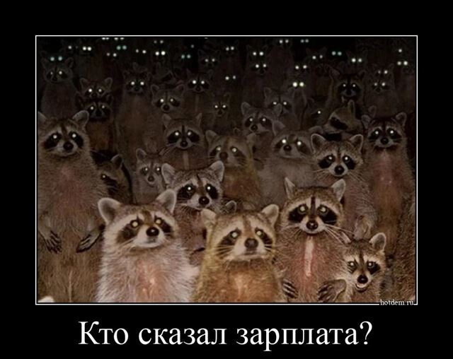 Новая порция хорошего настроения и юмора в прикольных демотиваторах на любой вкус! Новая порция хорошего настроения и юмора в прикольных демотиваторах на любой вкус!