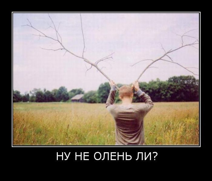 Зачетные, свежие и веселые демотиваторы для вечернего настроения Зачетные, свежие и веселые демотиваторы для вечернего настроения демотиваторы свежие,смешные демотиваторы