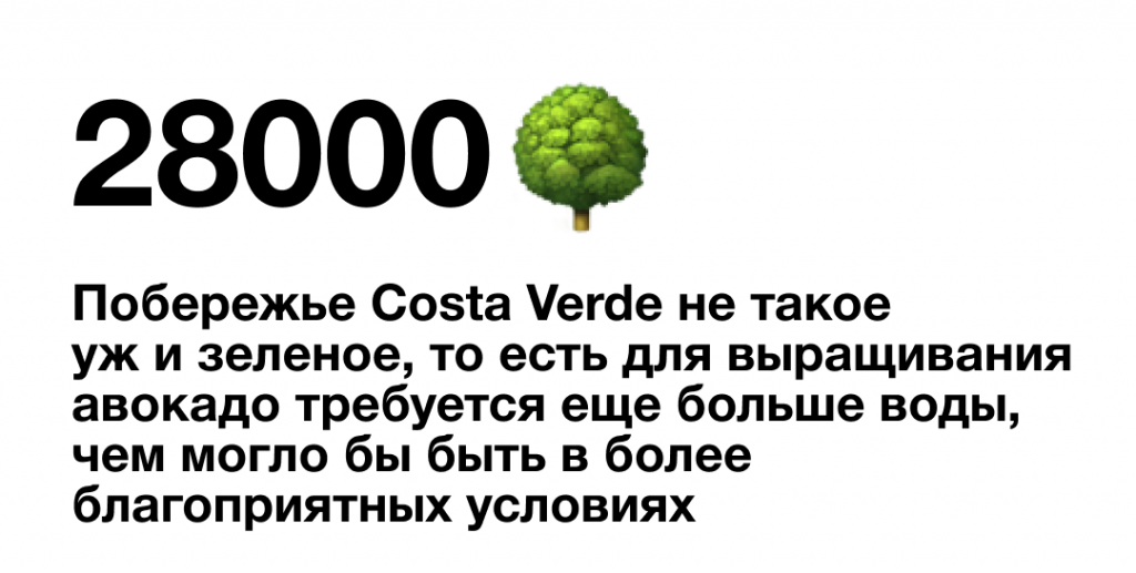 Авокадо вне закона: почему все отказываются от этого модного продукта авокадо, больше, только, блюда, Авокадо, Мичоакан, побережье, тысяч, «зеленое, требует, золото», регион, чтобы, богато, деревья, транспортировка, также, взрослых, плода, предложение