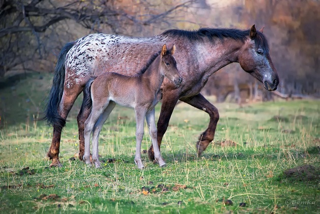 Фотограф Светлана Казина