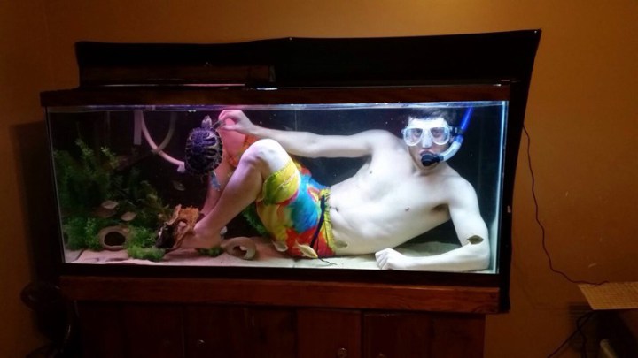 забавные фото про то что мечты сбываются 