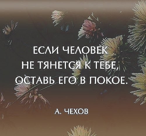 Великие высказывания и цитаты с глубоким смыслом 