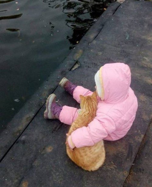 Прикольные картинки и различные фотоприколы Прикольные картинки и различные фотоприколы