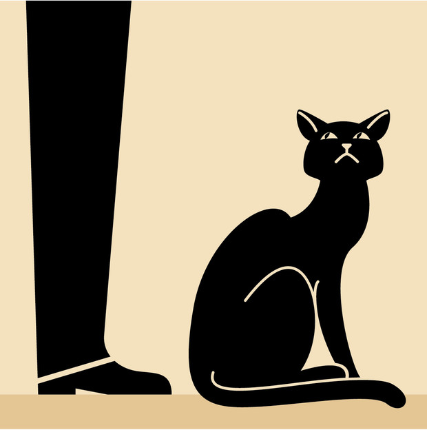 Как понять язык кота: Краткий человеко-кошачий словарь животные,коты,навыки,общение