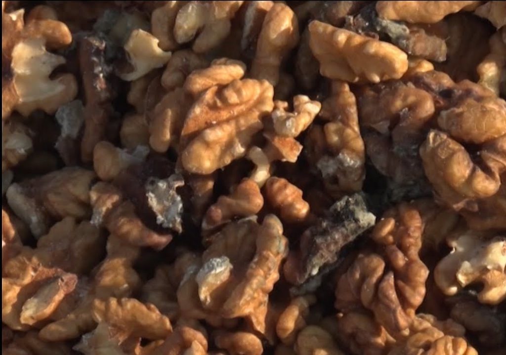 Афлатоксины в орехах. Плесень в орехах, зерновых и сухофруктах – очень опасна афлатоксины,здоровье,питание,плесень,продукты