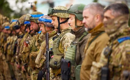 Почему тормозится украинский наступ: «Русские перебили командиров и снайперов ВСУ» россия,украина